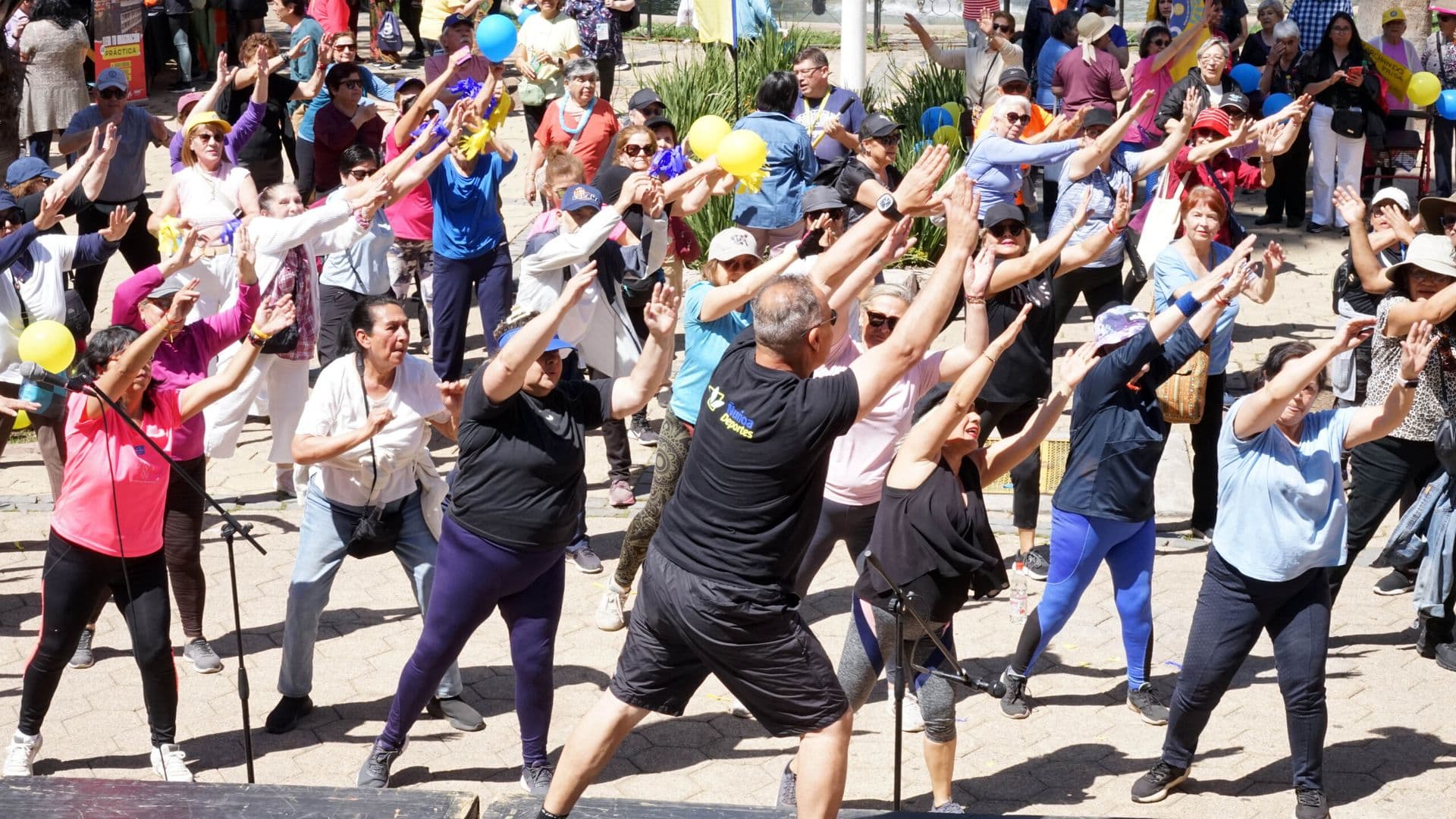 Gran Caminata Mayor hasta Plaza Ñuñoa