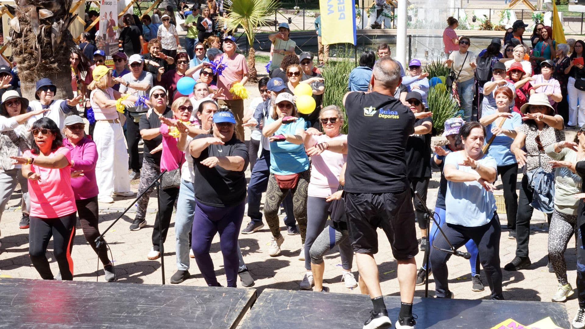 Gran Caminata Mayor hasta Plaza Ñuñoa
