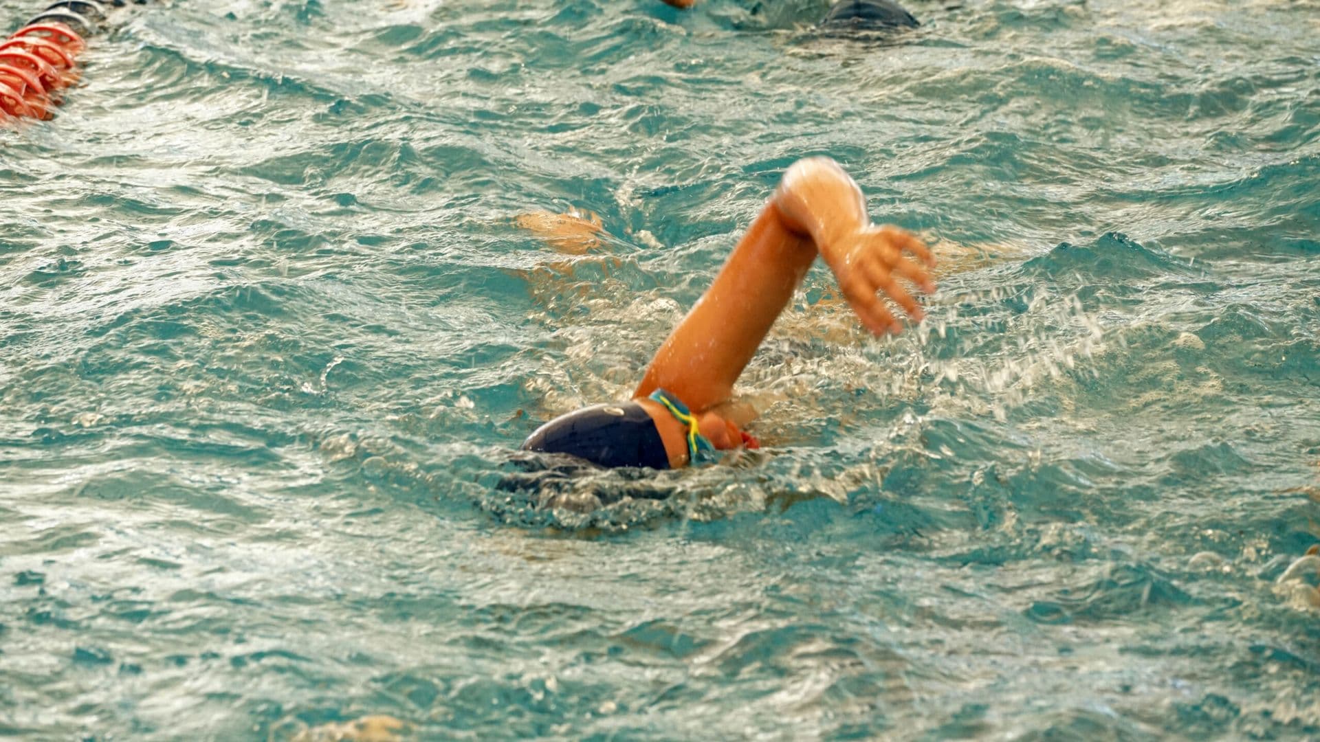Exhibición de Talleres Formativos de Natación 2025