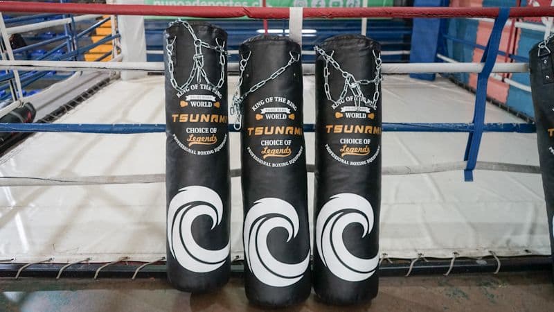 Ihcer Sport donó ocho sacos de boxeo a Ñuñoa Deportes