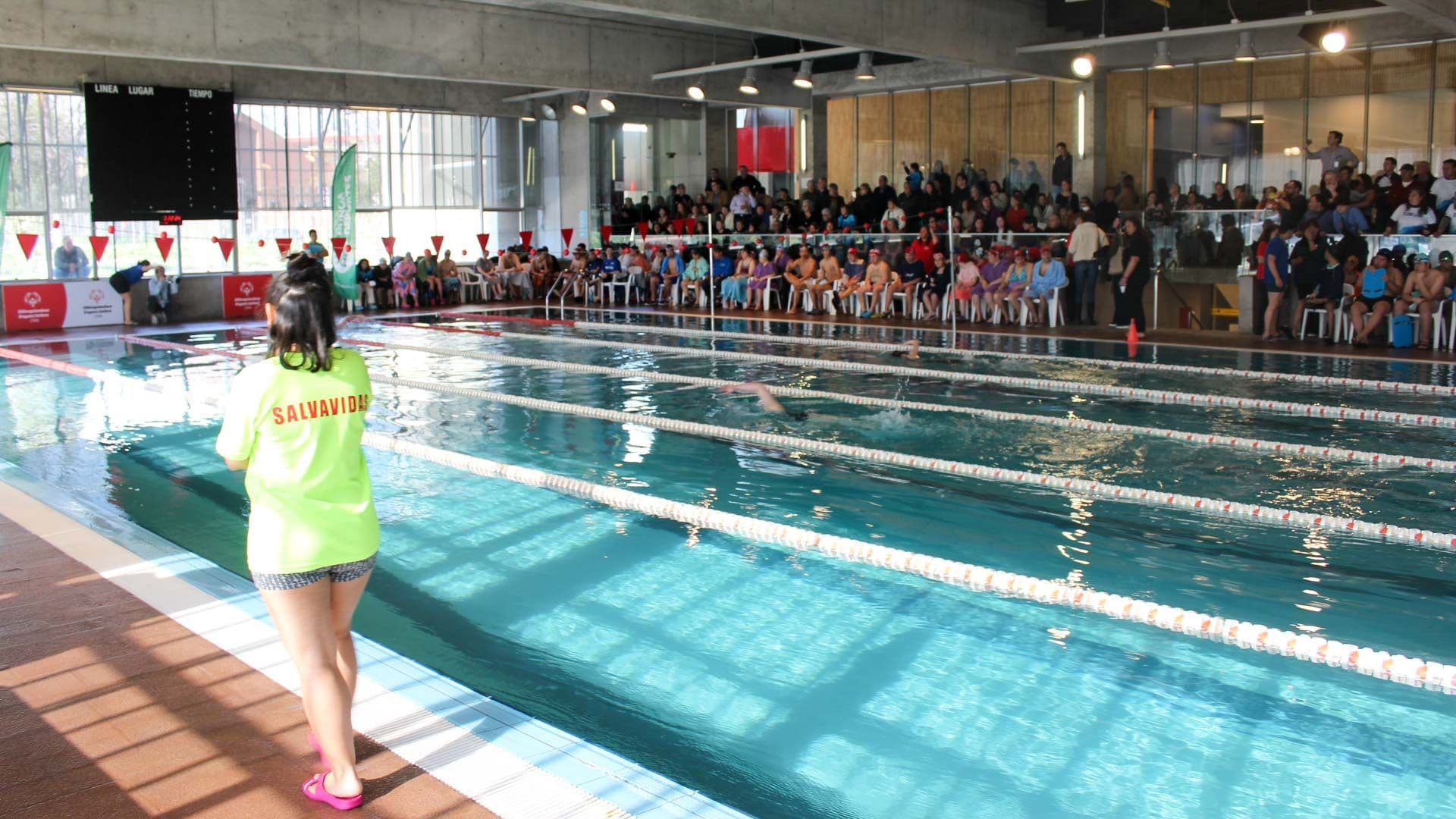 Torneo de Natación Neurodivergentes tuvo a más de 100 competidores