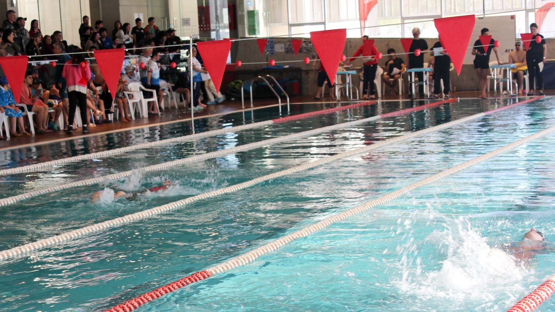 Torneo de Natación Neurodivergentes tuvo a más de 100 competidores
