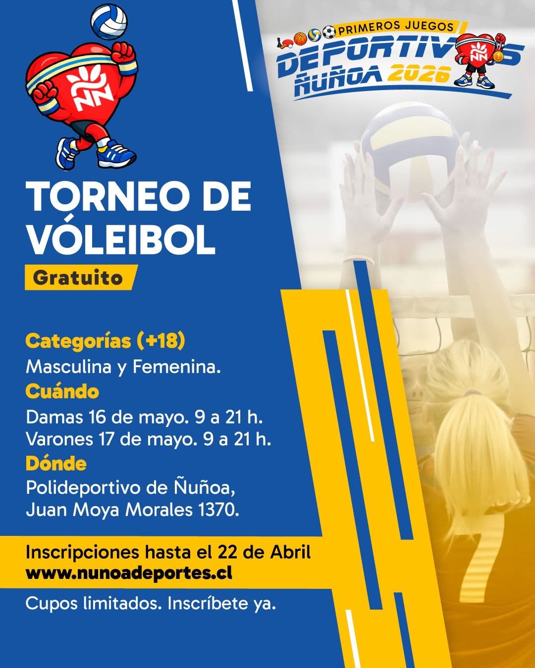 Afiche Torneo de vóleibol